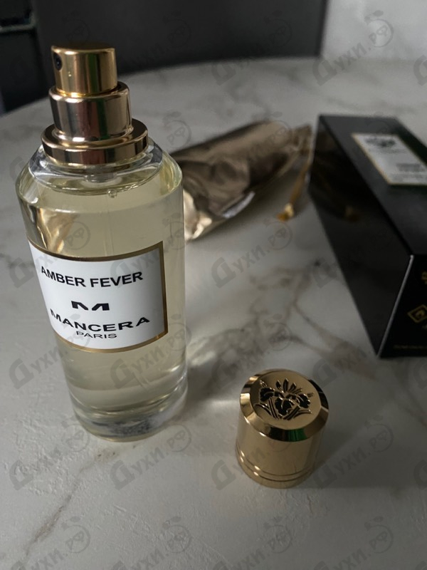 Купить Amber Fever от Mancera