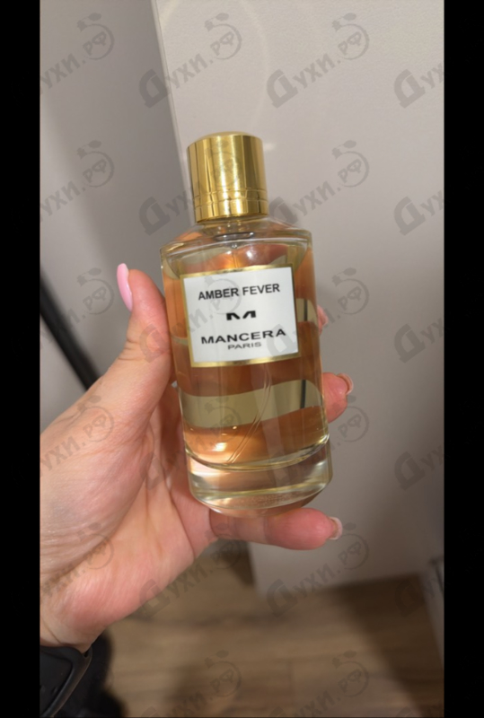 Отзывы Mancera Amber Fever