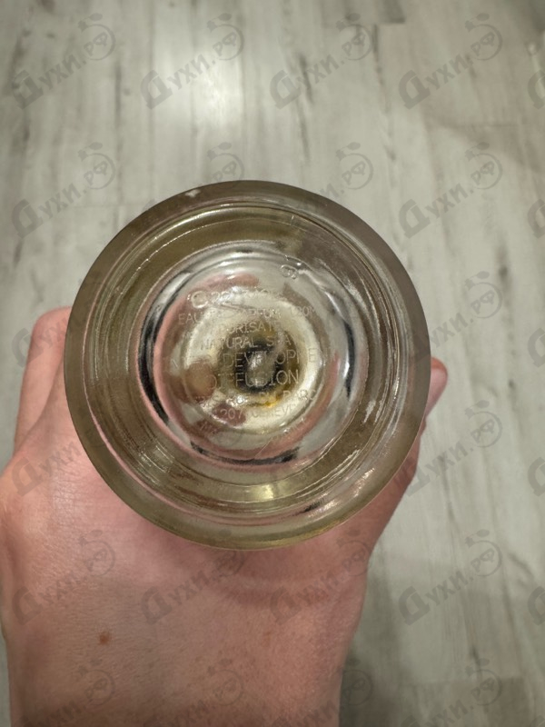 Купить Amber Fever от Mancera