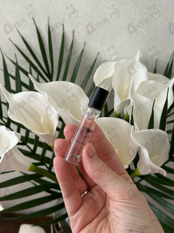 Купить Atomic Rose от Initio