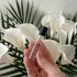 Купить Atomic Rose от Initio