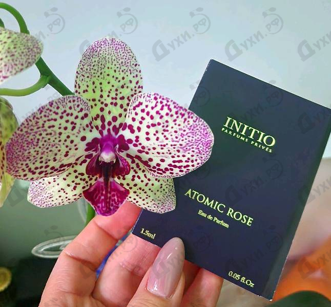 Отзывы Initio Atomic Rose