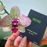 Отзывы Initio Atomic Rose