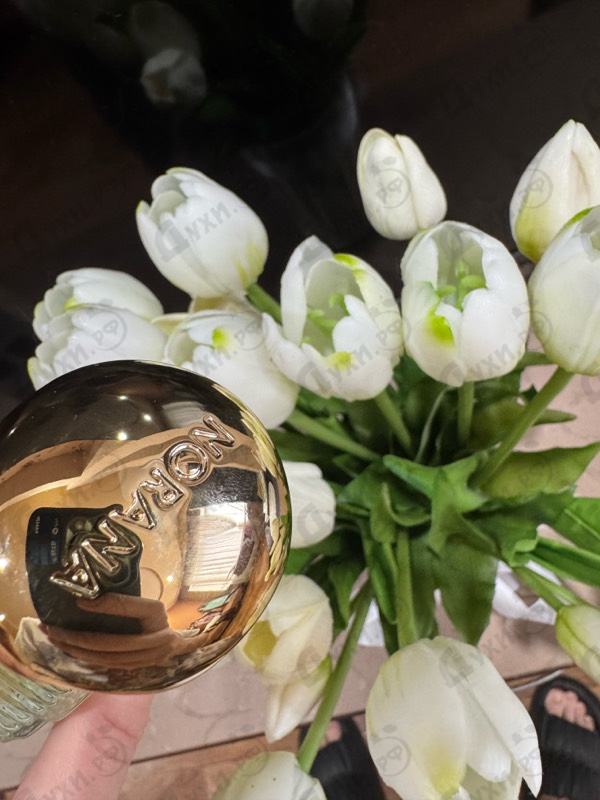 Купить Moon 1947 Gold от Norana Perfumes