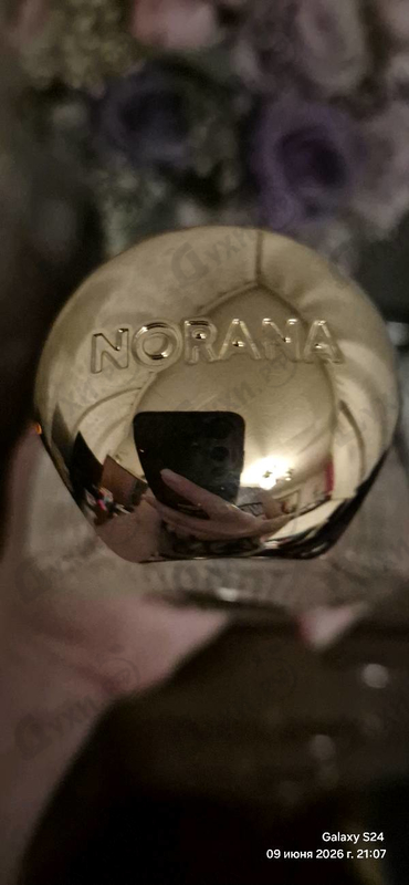 Купить Norana Perfumes Moon 1947 Gold