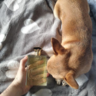 Отзыв Norana Perfumes Moon 1947 Gold