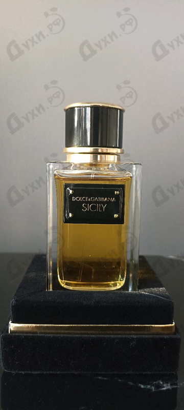 Парфюмерия Dolce & Gabbana Velvet Sicily
