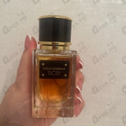 Отзывы Dolce & Gabbana Velvet Sicily
