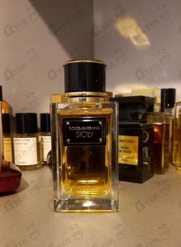 Купить Velvet Sicily от Dolce & Gabbana