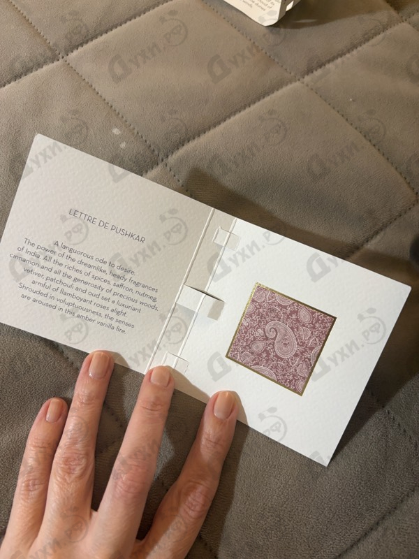 Купить Ella K Lettre De Pushkar