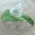 Духи The Silk Eau De Toilette от Sensai