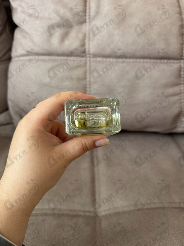 Духи Berry & Bay от Jenny Glow