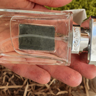 Парфюм Jenny Glow Berry & Bay