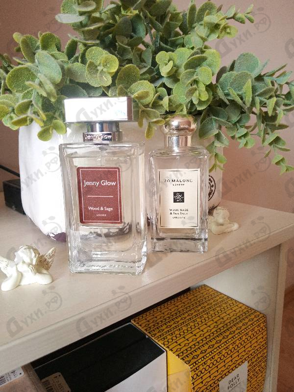 Парфюмерия Wood & Sage от Jenny Glow
