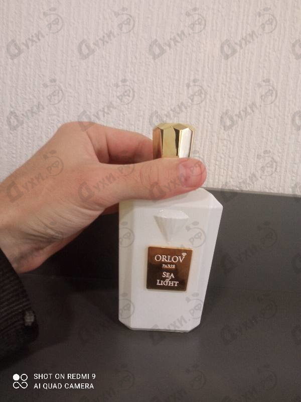 Купить Sea Of Light от Orlov Paris