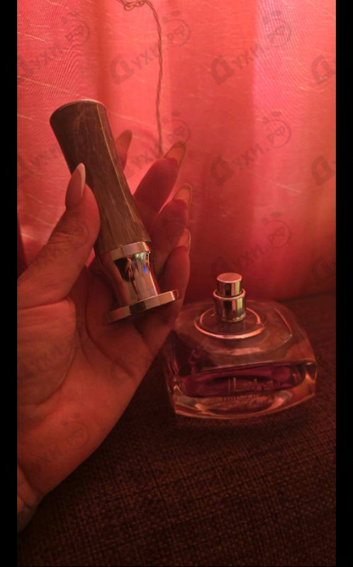 Отзывы Afnan Mirsaal Of Trust