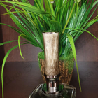 Отзыв Afnan Mirsaal Of Trust