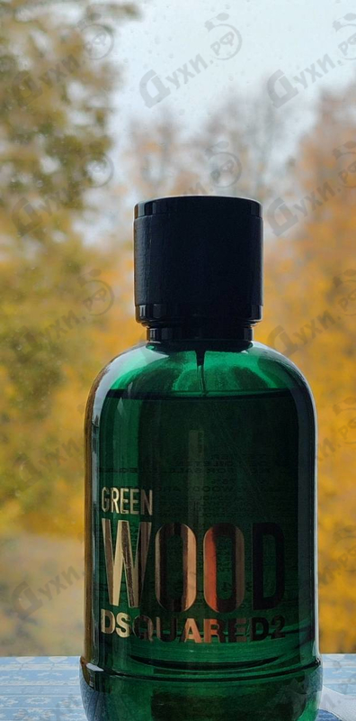 Купить Green Wood от Dsquared2
