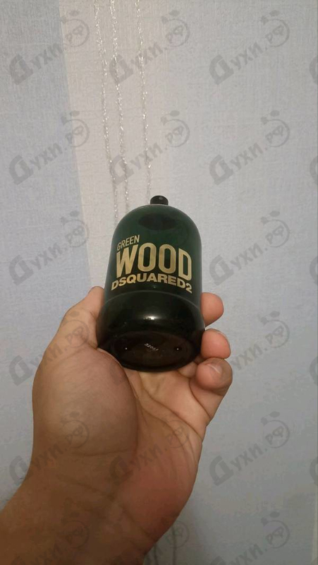 Отзывы Dsquared2 Green Wood