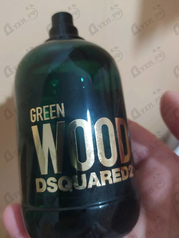 Купить Green Wood от Dsquared2