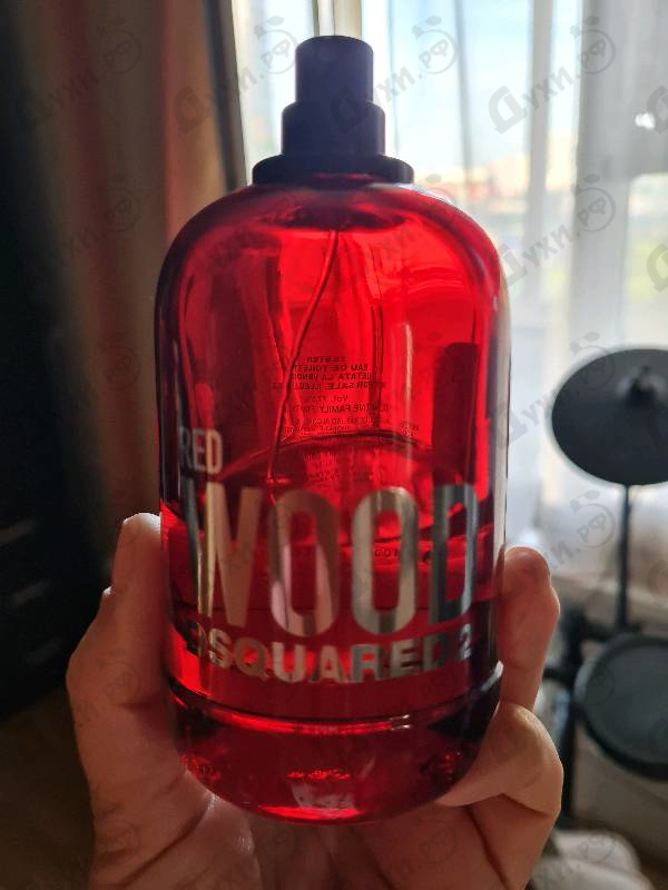 Купить Red Wood от Dsquared2