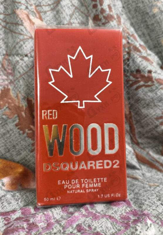 Купить Dsquared2 Red Wood