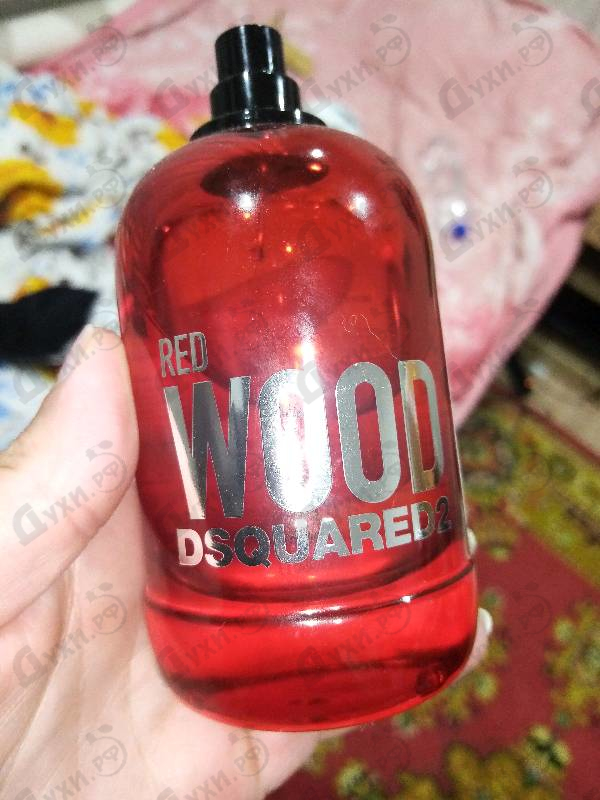 Купить Dsquared2 Red Wood