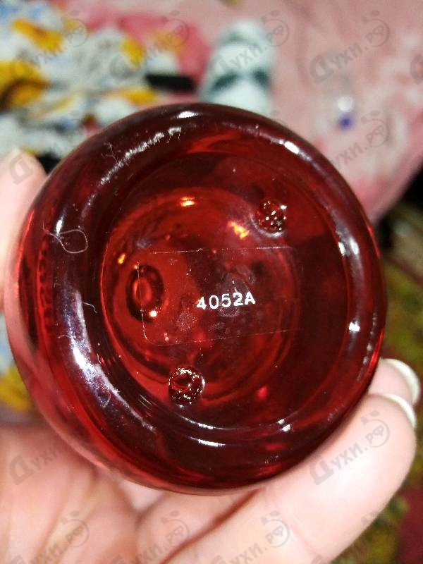 Купить Red Wood от Dsquared2