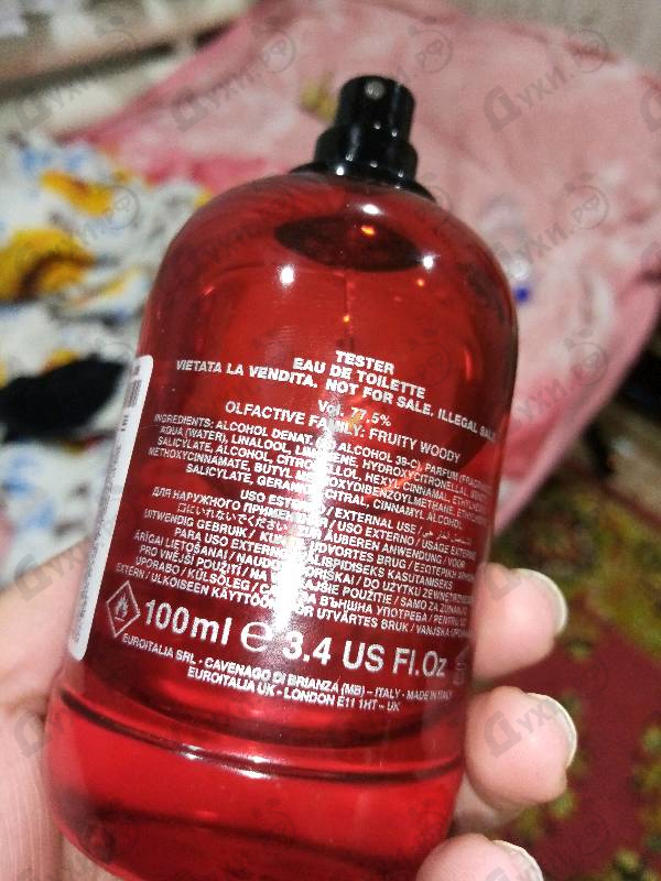 Купить Red Wood от Dsquared2