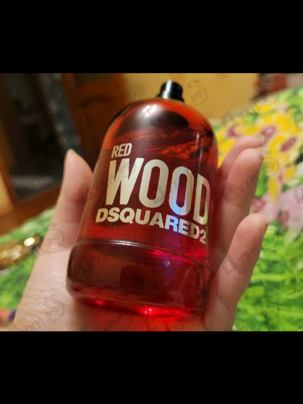 Отзывы Dsquared2 Red Wood