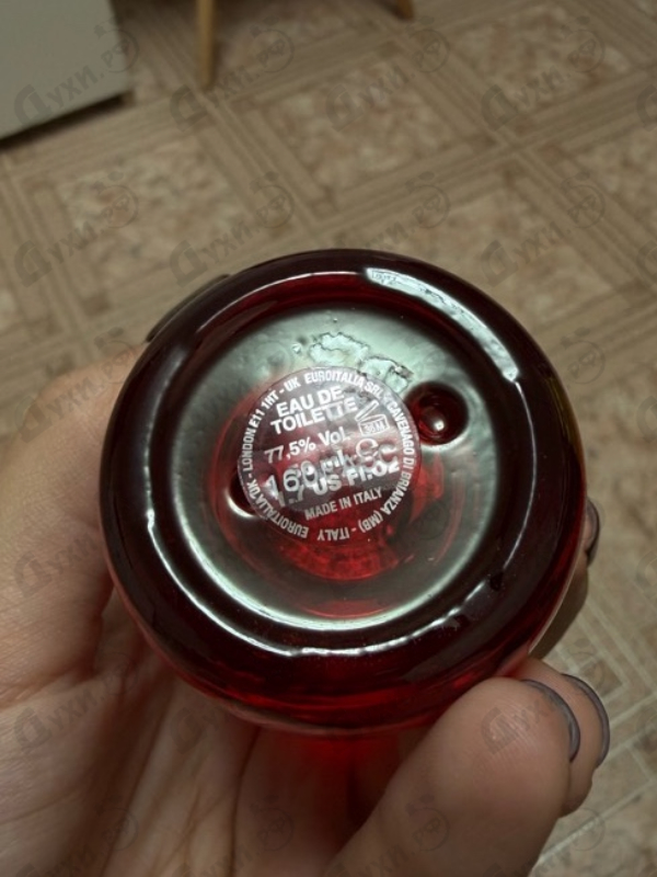 Купить Dsquared2 Red Wood