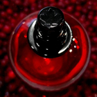 Отзывы Dsquared2 Red Wood