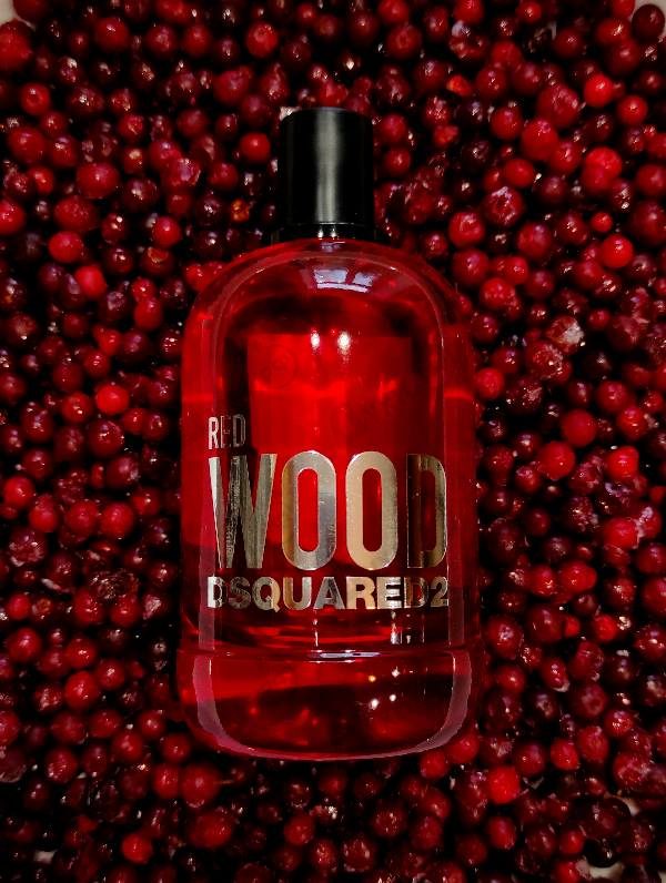 Отзывы Dsquared2 Red Wood