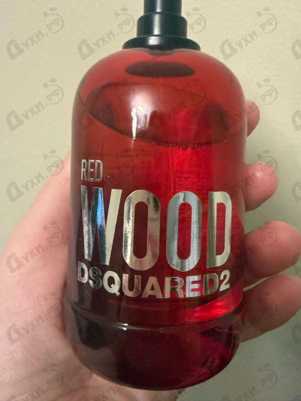 Купить Red Wood от Dsquared2