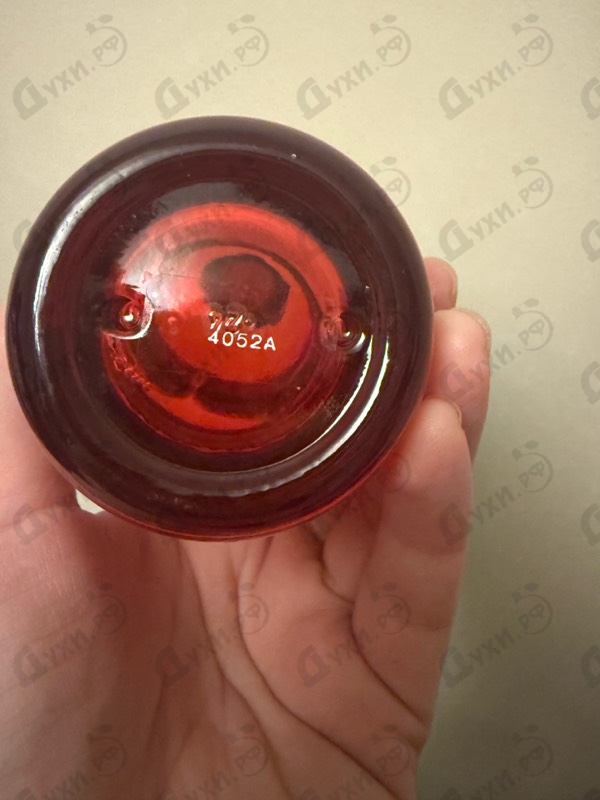 Купить Red Wood от Dsquared2