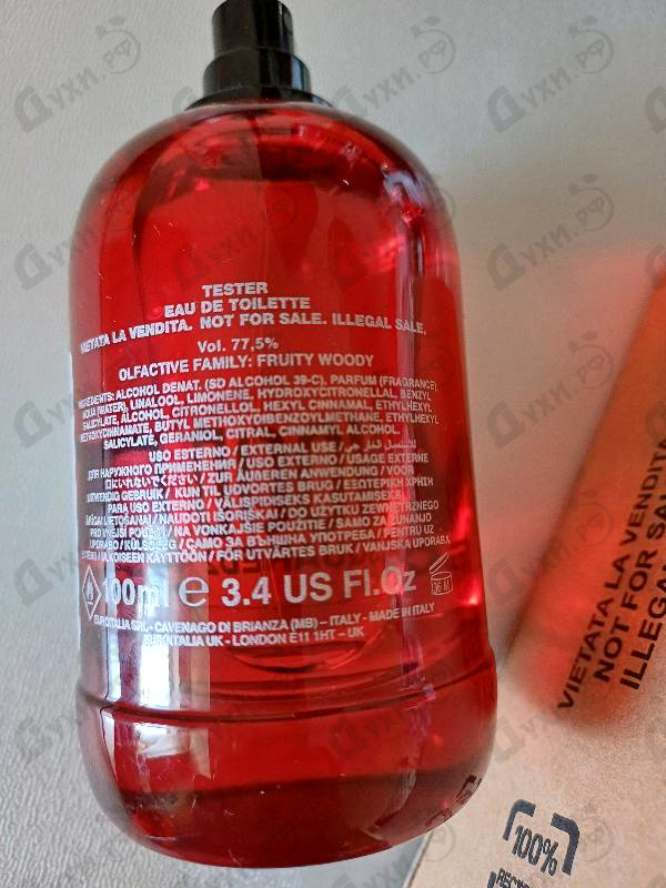 Купить Red Wood от Dsquared2