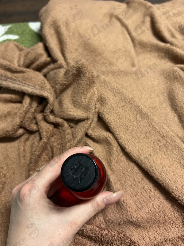 Парфюмерия Red Wood от Dsquared2