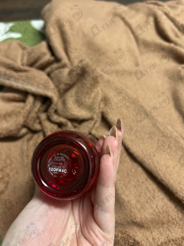 Парфюмерия Red Wood от Dsquared2