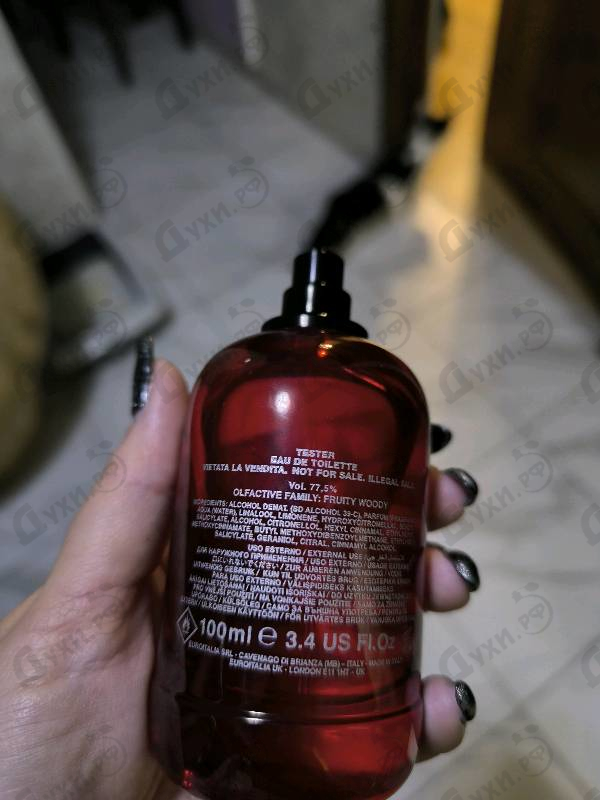 Купить Dsquared2 Red Wood