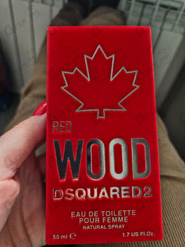 Купить Red Wood от Dsquared2