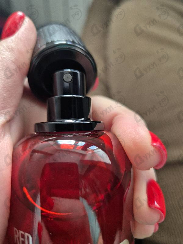 Купить Red Wood от Dsquared2