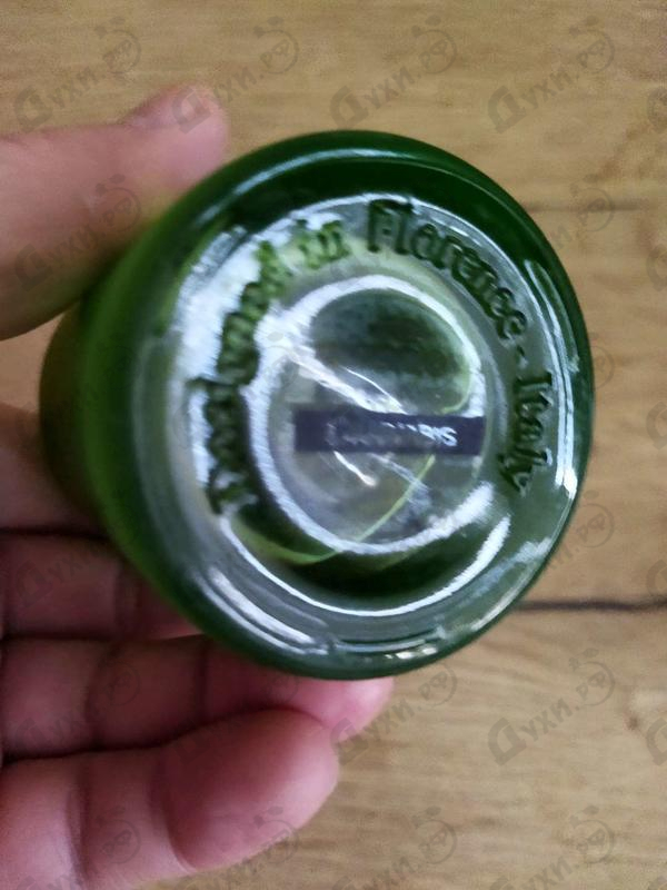 Купить Cannabis от BOIS 1920