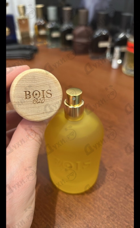 Купить Cannabis Fruttata от BOIS 1920