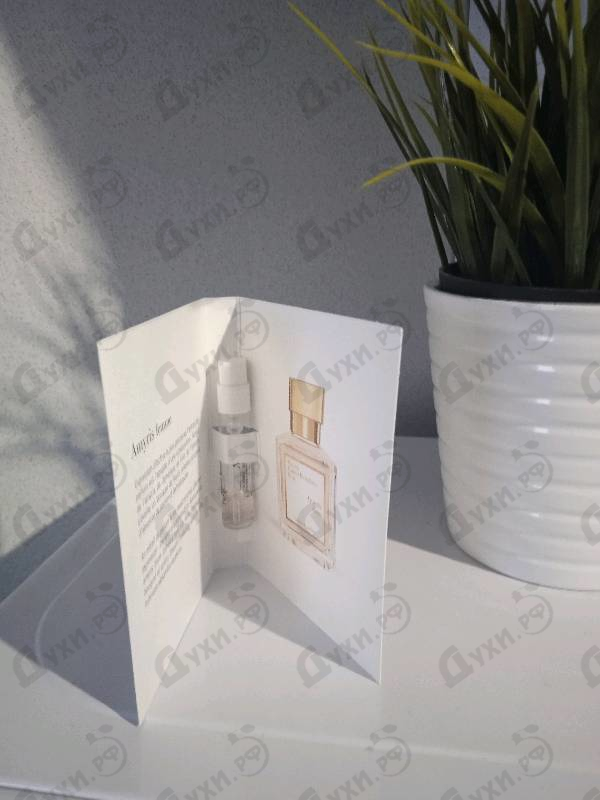 Отзывы Maison Francis Kurkdjian Amyris Extrait De Parfum