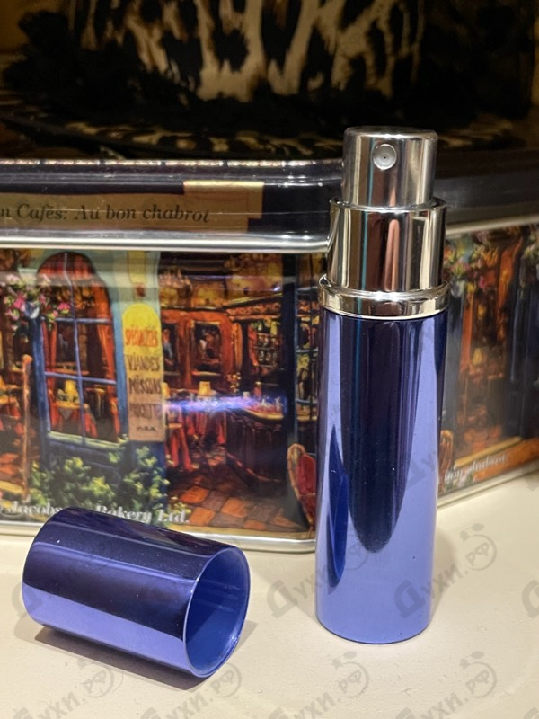 Купить Agent Provocateur Miss AP