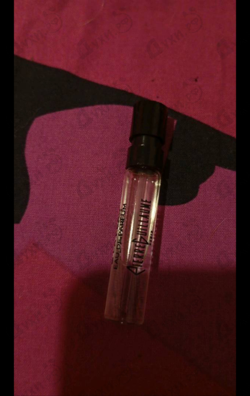 Отзывы Pierre Guillaume Le Musc & La Peau 4.1