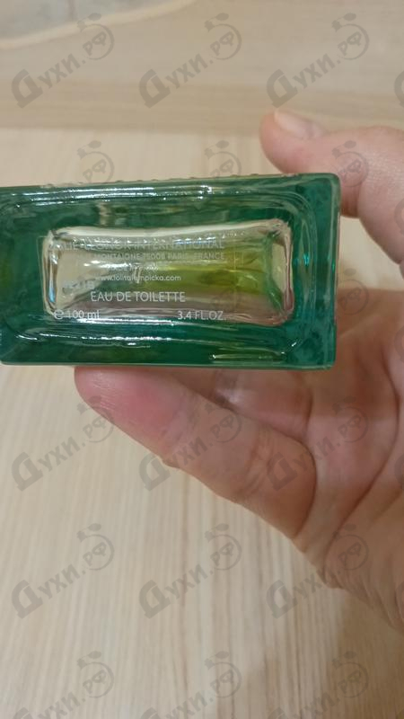 Парфюмерия Green Lover от Lolita Lempicka