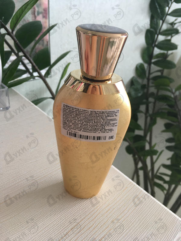 Отзыв V Canto Posi