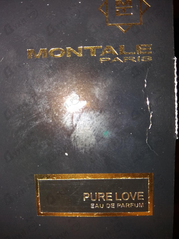 Купить Pure Love от Montale