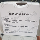 Отзыв Enrico Gi Black Currant